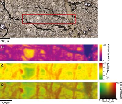 Low-temperature hydrogen production and consumption in partially-hydrated peridotites in Oman: implications for stimulated geological hydrogen production